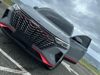 alquiler.vehiculos.166