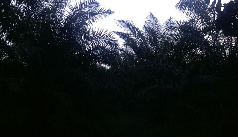 Terrenos en la playa, Solares Ciudad y Fincas en el Campo!!
