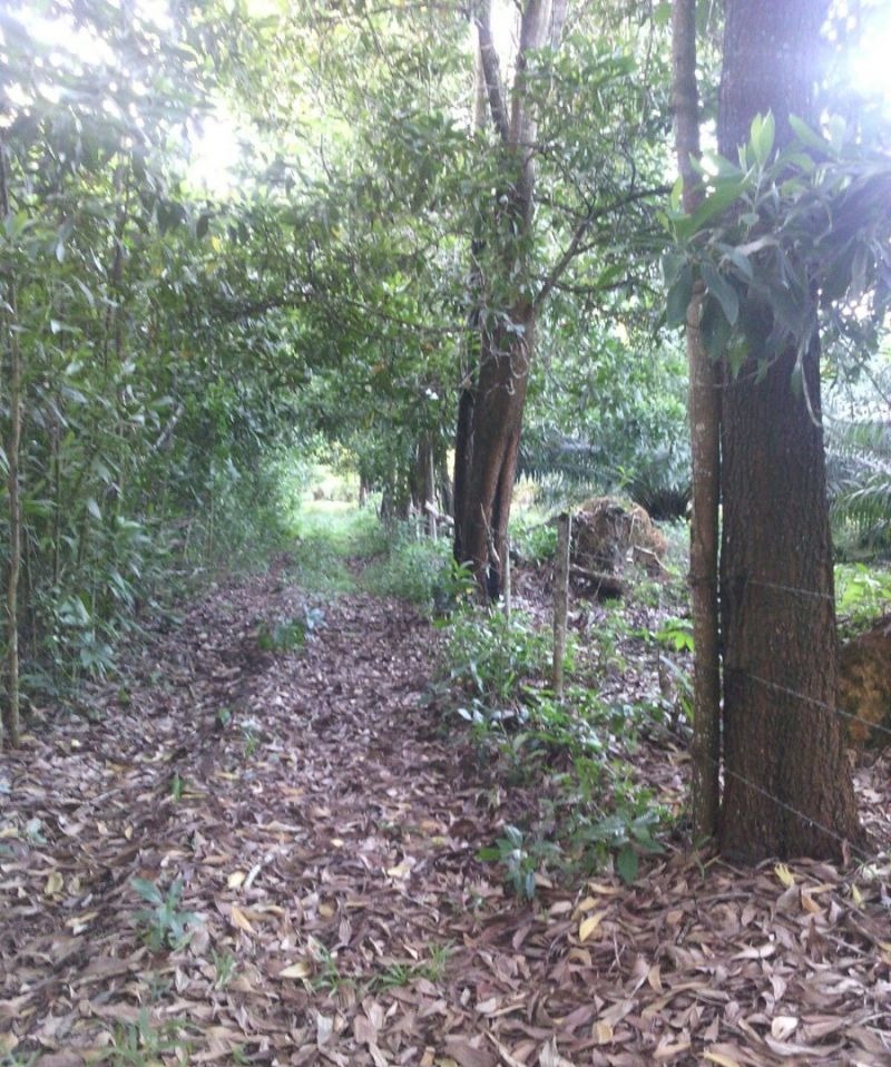 Terrenos en la playa, Solares Ciudad y Fincas en el Campo!!