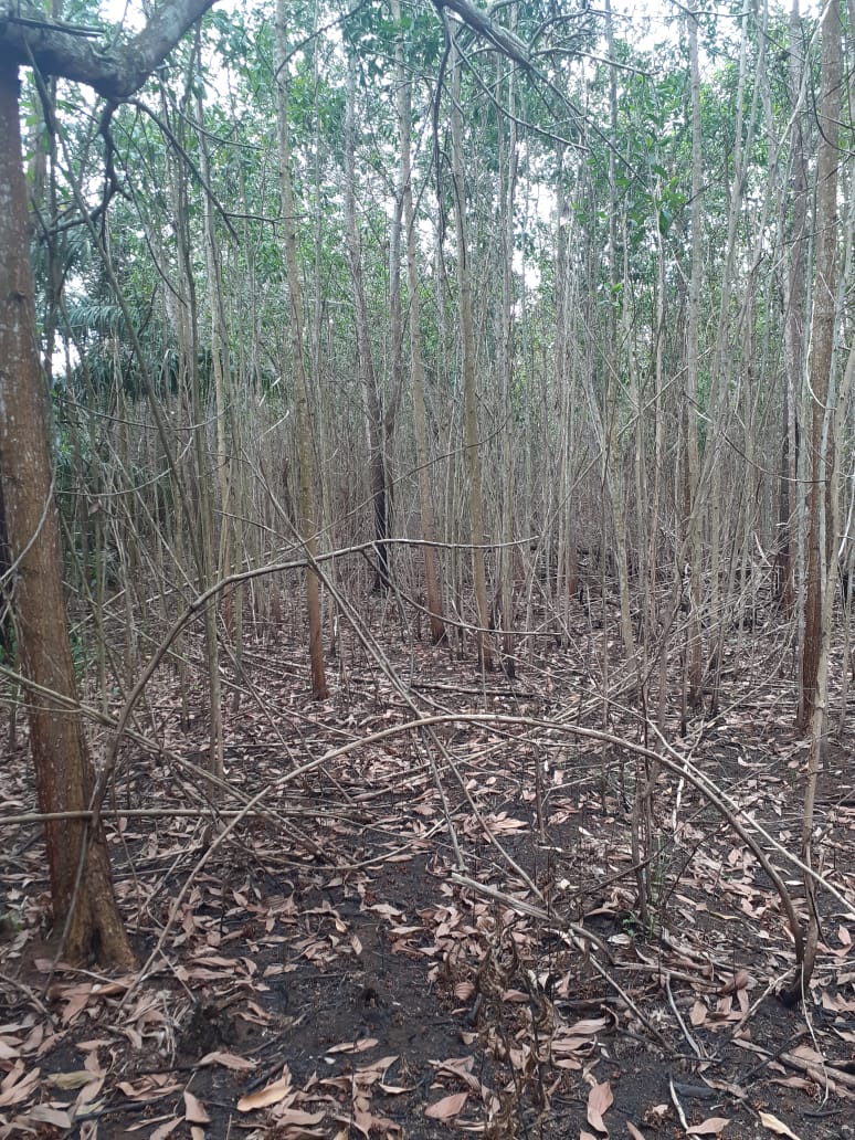 Terrenos en la playa, Solares Ciudad y Fincas en el Campo!!