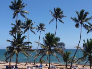 propiedades.playa_.1_thb