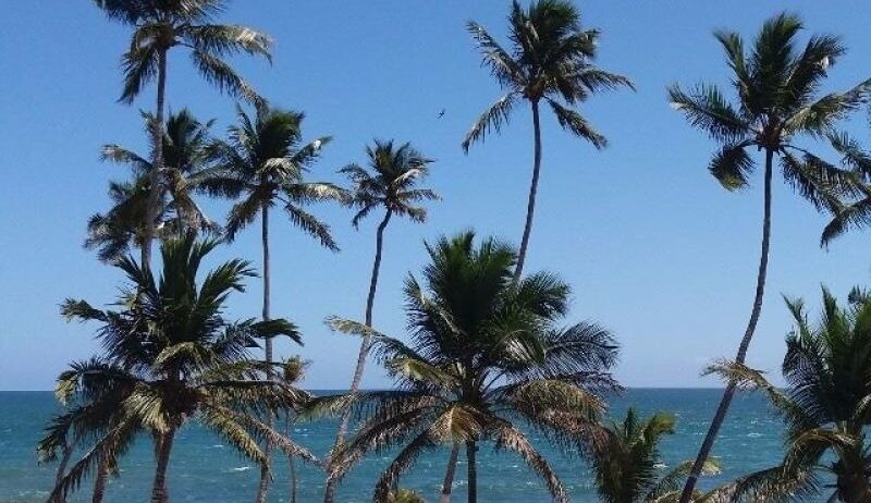 Mi propiedad en el Caribbean!