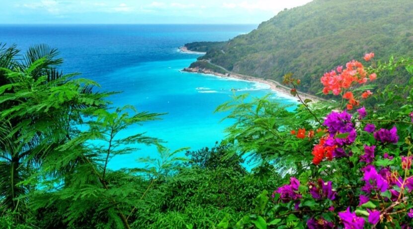 Ya tienes tu Ticket para viajar a Republica Dominicana?