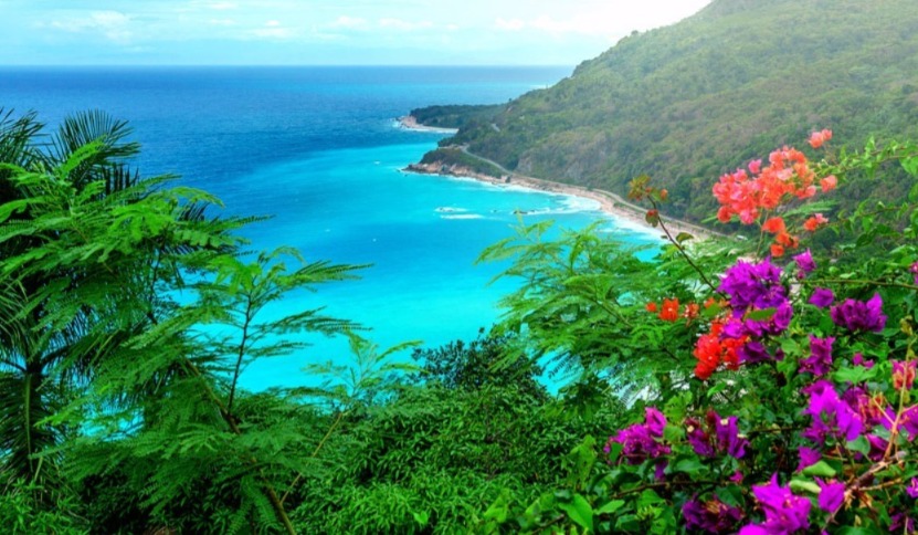 Ya tienes tu Ticket para viajar a Republica Dominicana?