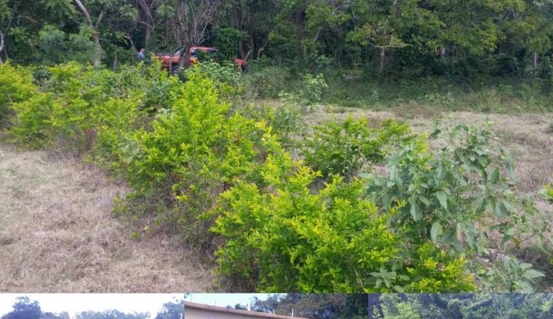 Mi propiedad en el Caribbean!