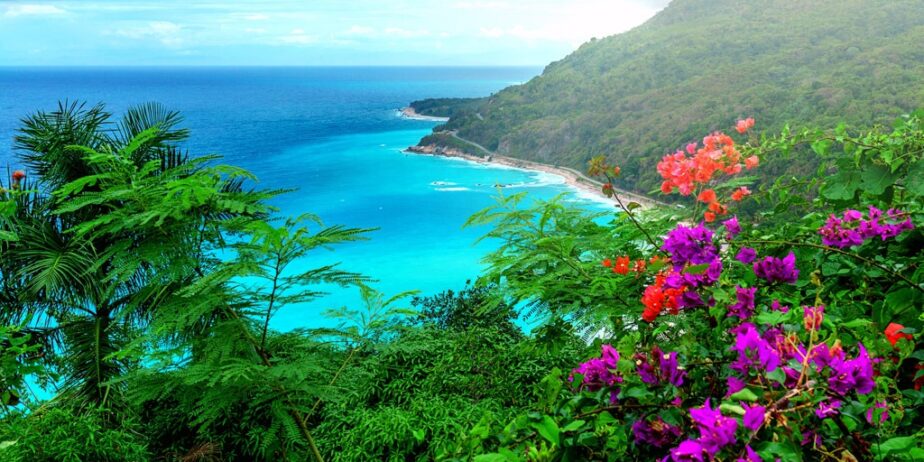 Ya tienes tu Ticket para viajar a Republica Dominicana?