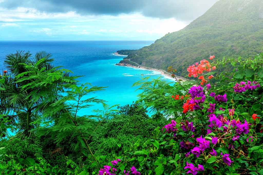 Ya tienes tu Ticket para viajar a Republica Dominicana?