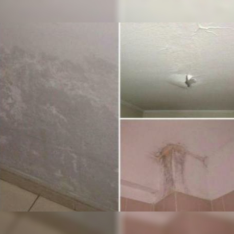 Servicios Variados Y Ventas Diversas, Contactar Via Whatsapp