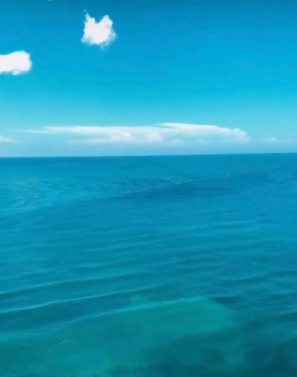 Viva Como Un Rey, Deleitandose Con Su Vista Al Mar, Piso 26