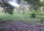 Terrenos En Lineas De Playa, Solares En La Ciudad Y Fincas!