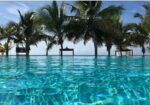 Pasare Las Navidades En Republica Dominicana..