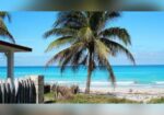 Compra Un Apartamento En La Playa En Navidad!!