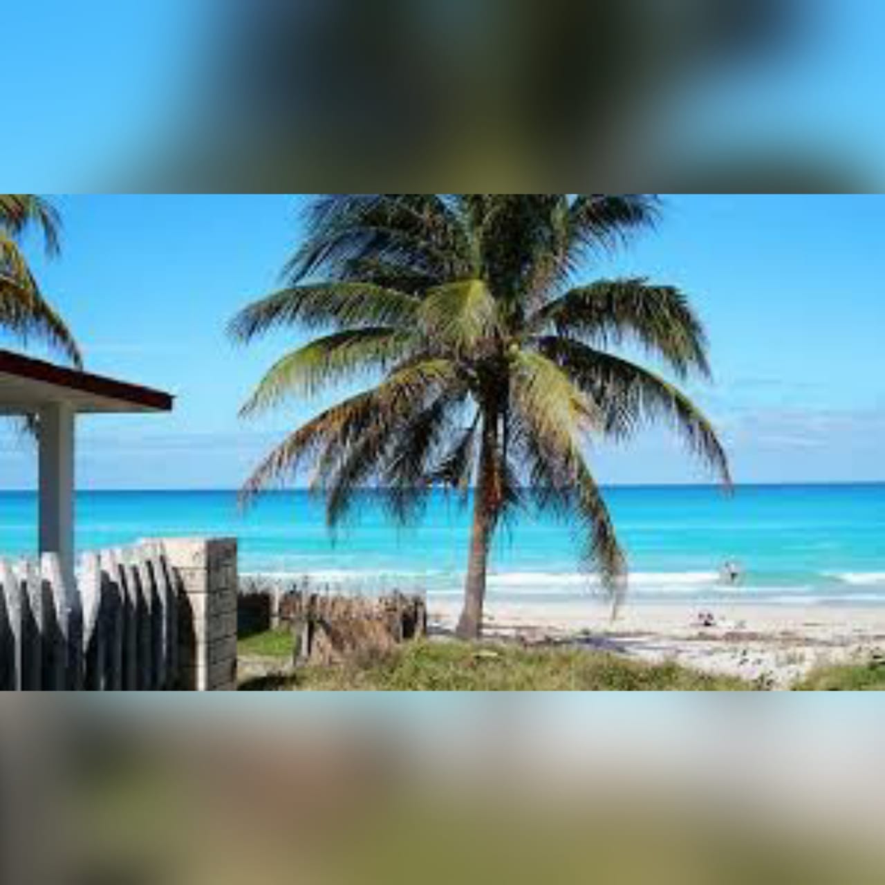 Compra Un Apartamento En La Playa En Navidad!!