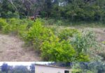 Terrenos En Lineas De Playa, Solares En La Ciudad Y Fincas!