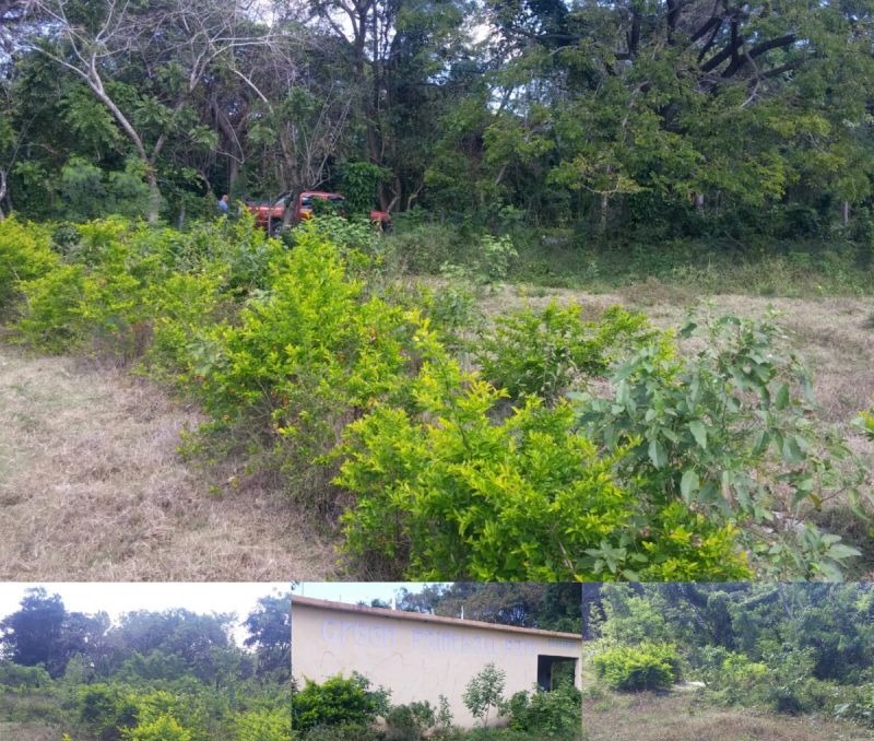 Terrenos En Lineas De Playa, Solares En La Ciudad Y Fincas!