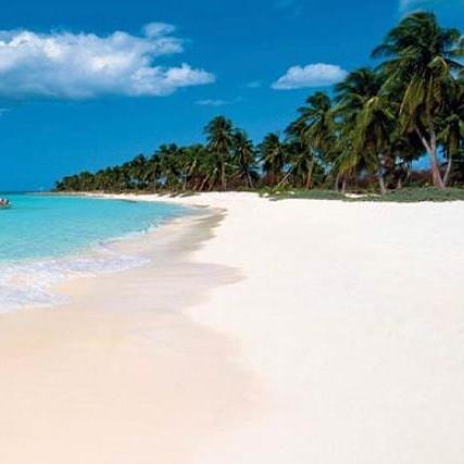 Terrenos En Lineas De Playa, Solares En La Ciudad Y Fincas!