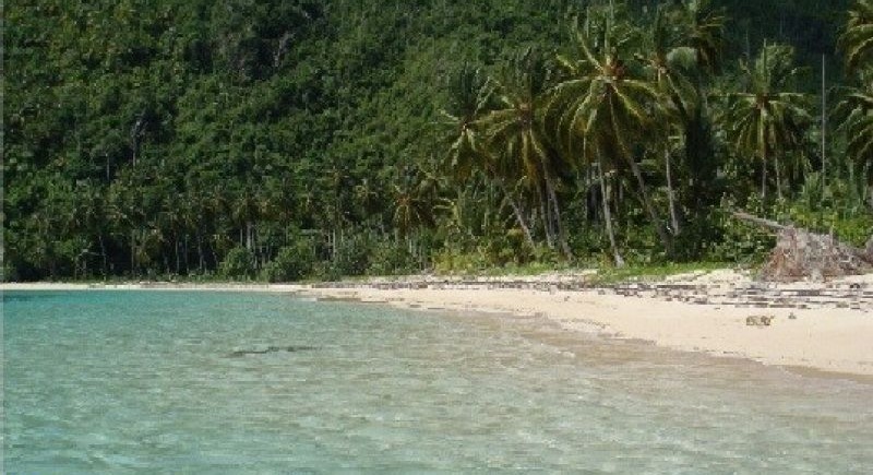 Terrenos En Lineas De Playa, Solares En La Ciudad Y Fincas!