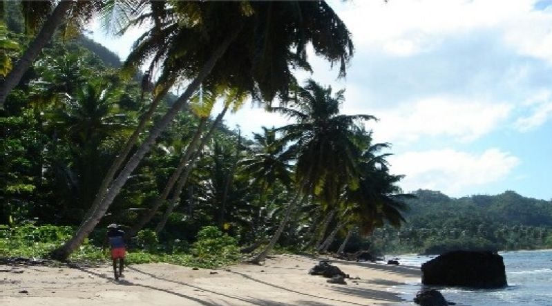 Terrenos En Lineas De Playa, Solares En La Ciudad Y Fincas!